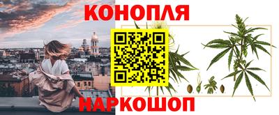 PSILOCYBIN Будённовск