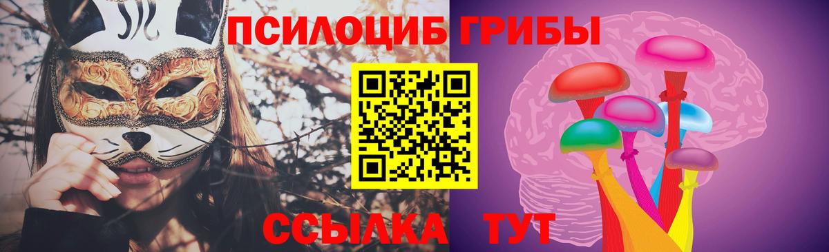 Заинск  Псилоцибиновые грибы прущие грибы  Псилоцибиновые грибы Magic Shrooms  где найти   Вход с VPN 