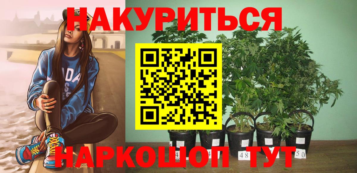 Бошки марихуана план  МАРИХУАНА AK-47  Заинск  Вход с VPN  Бошки Шишки SATIVA & INDICA 